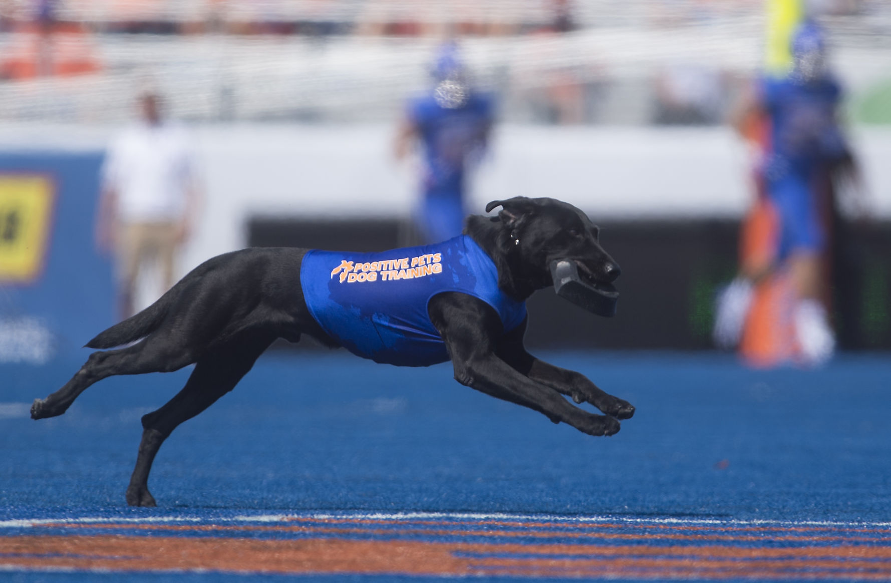 Football - Boise State Vs. Troy
